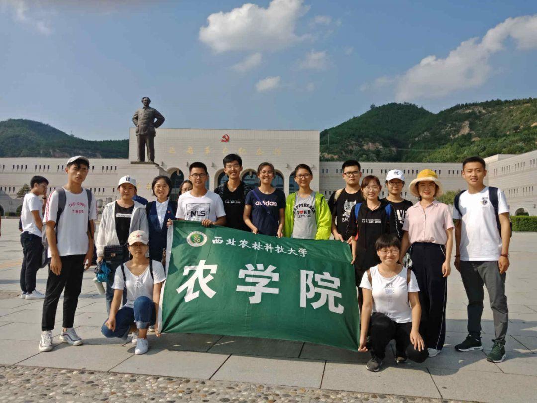 美人鱼生日会