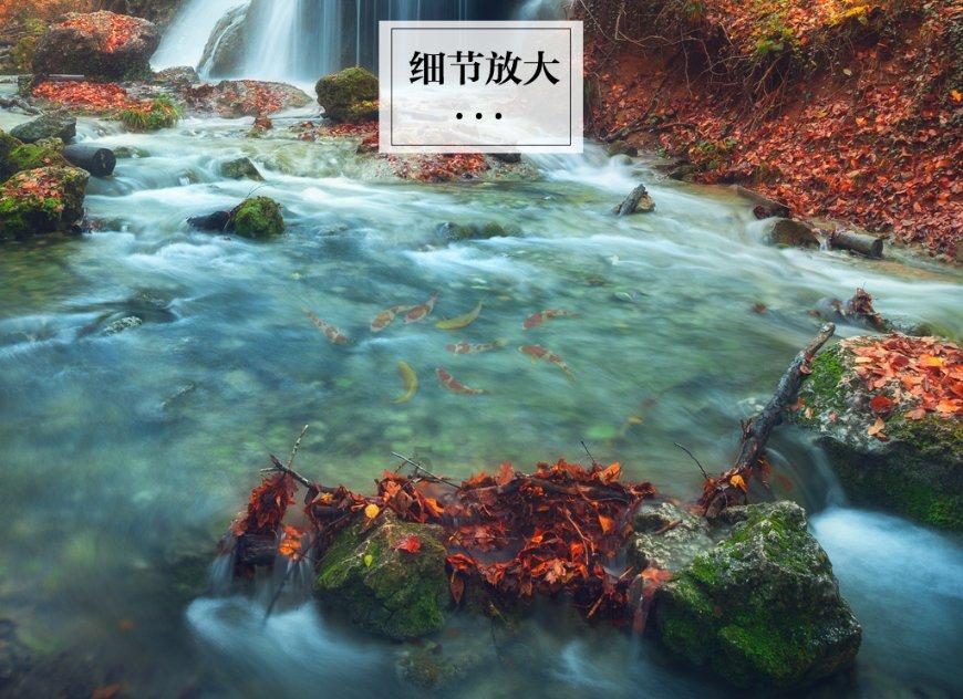哆啦A梦2奇迹之岛