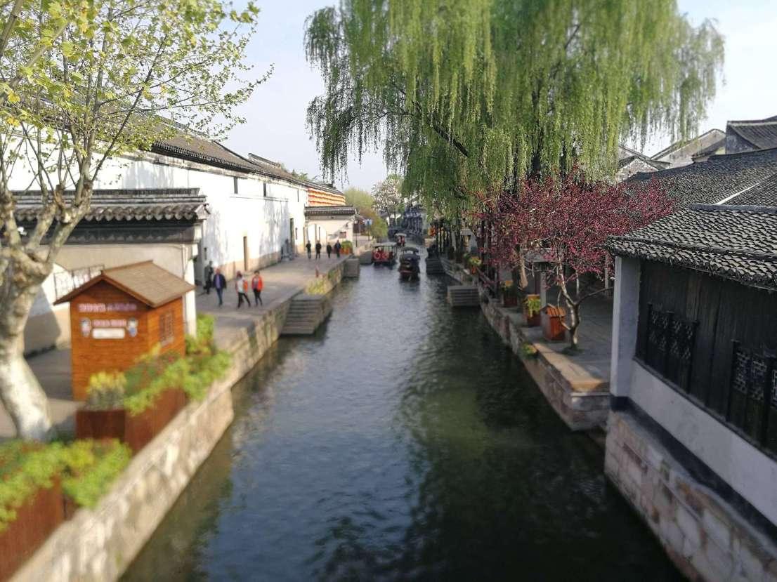 救援蓝色小鱼