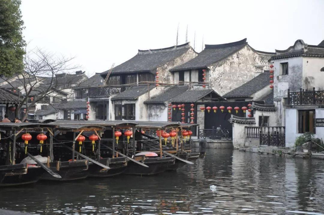 虎胆熊威3